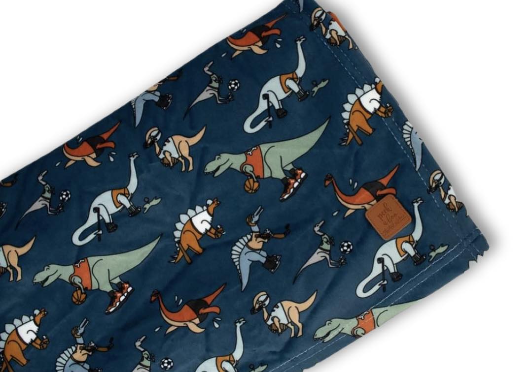 Minky Blanket - Dino-sports