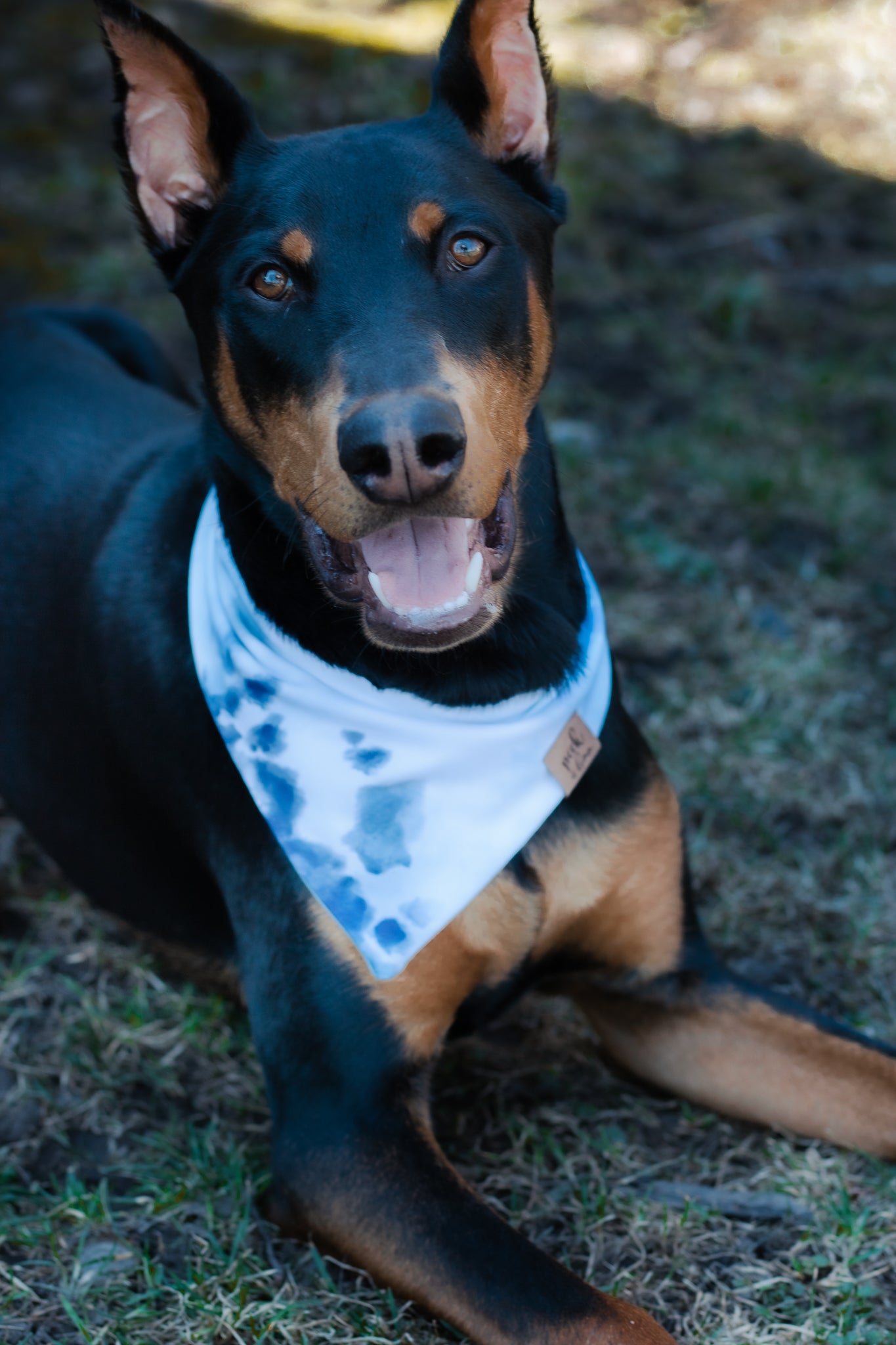 Matching Pet Bandana